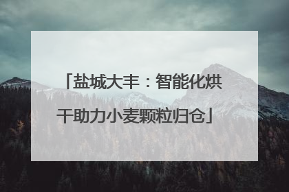 盐城大丰：智能化烘干助力小麦颗粒归仓