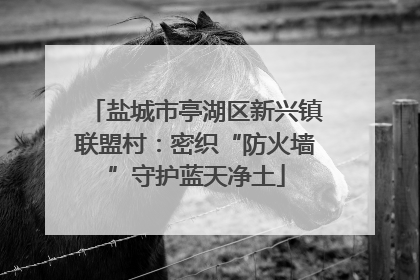 盐城市亭湖区新兴镇联盟村：密织“防火墙”守护蓝天净土