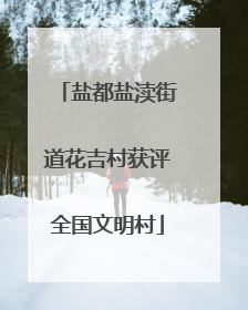 盐都盐渎街道花吉村获评全国文明村
