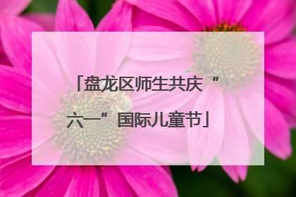 盘龙区师生共庆“六一”国际儿童节
