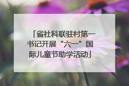 省社科联驻村第一书记开展“六一”国际儿童节助学活动
