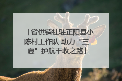 省供销社驻正阳县小陈村工作队 助力“三夏”护航丰收之路