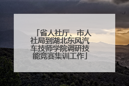 省人社厅、市人社局到湖北东风汽车技师学院调研技能竞赛集训工作