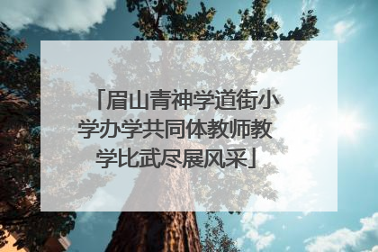 眉山青神学道街小学办学共同体教师教学比武尽展风采