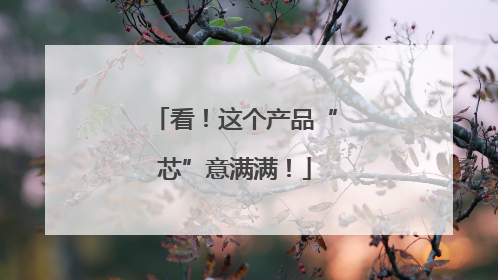 看！这个产品“芯”意满满！
