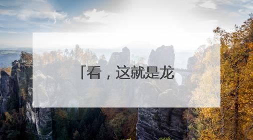 看，这就是龙舟的魅力！