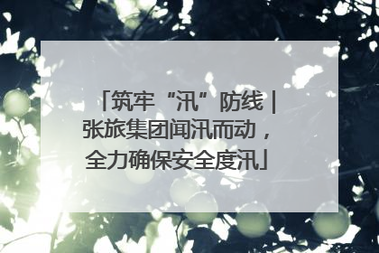 筑牢“汛”防线｜张旅集团闻汛而动，全力确保安全度汛