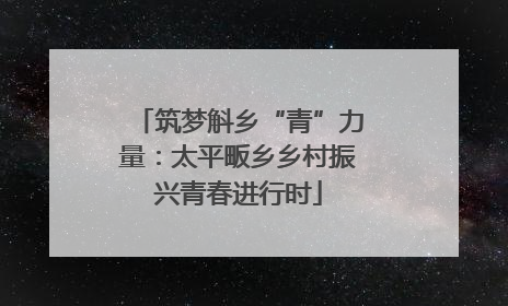 筑梦斛乡“青”力量：太平畈乡乡村振兴青春进行时