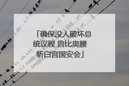 确保没人破坏总统议程 鲁比奥腰斩白宫国安会