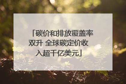 碳价和排放覆盖率双升 全球碳定价收入超千亿美元