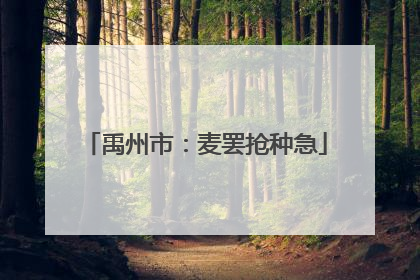 禹州市：麦罢抢种急