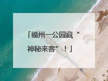 福州一公园藏“神秘来客”！