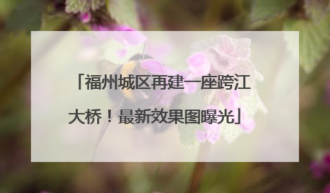 福州城区再建一座跨江大桥！最新效果图曝光