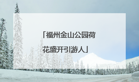 福州金山公园荷花盛开引游人