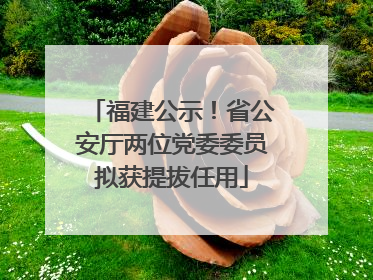 福建公示！省公安厅两位党委委员拟获提拔任用