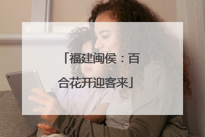 福建闽侯：百合花开迎客来