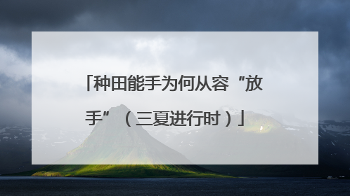 种田能手为何从容“放手”（三夏进行时）