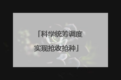 科学统筹调度实现抢收抢种