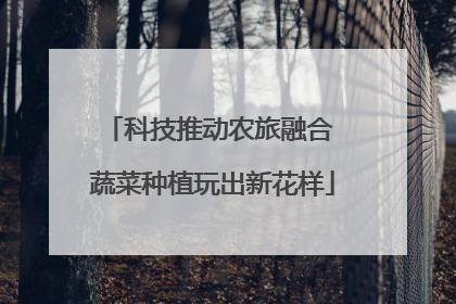 科技推动农旅融合 蔬菜种植玩出新花样