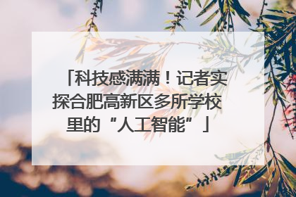 科技感满满！记者实探合肥高新区多所学校里的“人工智能”