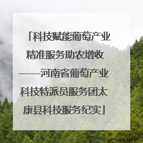 科技赋能葡萄产业 精准服务助农增收——河南省葡萄产业科技特派员服务团太康县科技服务纪实