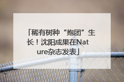稀有树种“抱团”生长！沈阳成果在Nature杂志发表