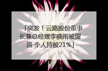 突发！云路股份董事长兼总经理李晓雨被留置 个人持股21%
