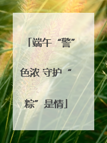 端午“警”色浓 守护“粽”是情