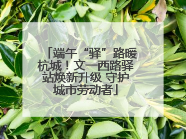 端午“驿”路暖杭城！文一西路驿站焕新升级 守护城市劳动者