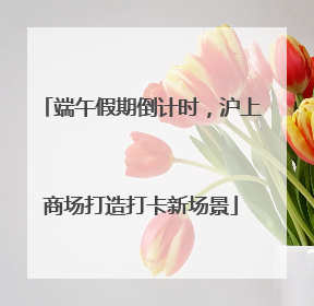 端午假期倒计时，沪上商场打造打卡新场景
