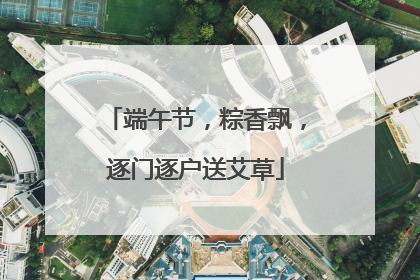 端午节，粽香飘，逐门逐户送艾草