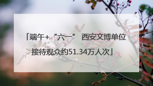 端午+“六一” 西安文博单位接待观众约51.34万人次