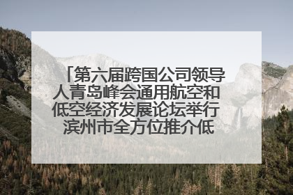 第六届跨国公司领导人青岛峰会通用航空和低空经济发展论坛举行 滨州市全方位推介低空经济发展优势