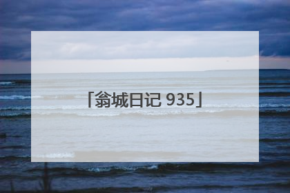 翁城日记 935