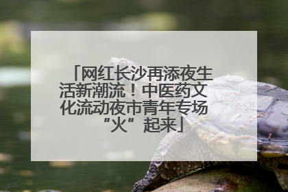 网红长沙再添夜生活新潮流！中医药文化流动夜市青年专场“火”起来