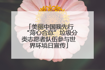 美丽中国我先行 “菏心合意”垃圾分类志愿者队伍参与世界环境日宣传