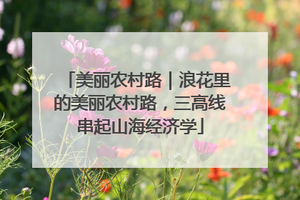 美丽农村路｜浪花里的美丽农村路，三高线串起山海经济学