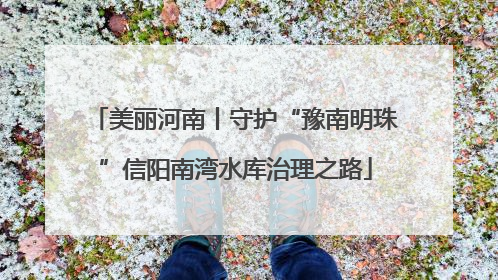 美丽河南丨守护“豫南明珠”信阳南湾水库治理之路