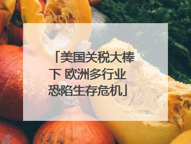 美国关税大棒下 欧洲多行业恐陷生存危机