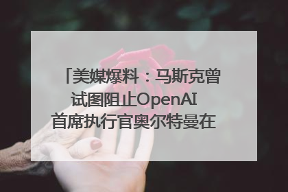 美媒爆料：马斯克曾试图阻止OpenAI首席执行官奥尔特曼在中东的AI交易