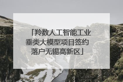 羚数人工智能工业垂类大模型项目签约落户无锡高新区