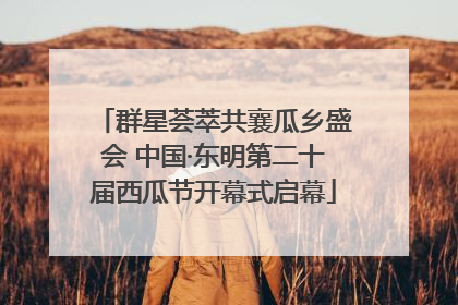 群星荟萃共襄瓜乡盛会 中国·东明第二十届西瓜节开幕式启幕