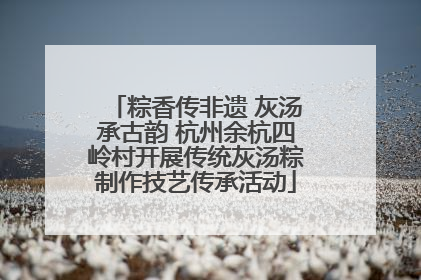 粽香传非遗 灰汤承古韵 杭州余杭四岭村开展传统灰汤粽制作技艺传承活动