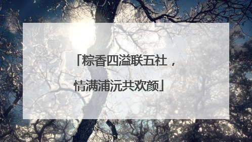 粽香四溢联五社，情满浦沅共欢颜
