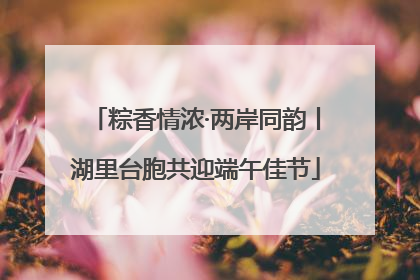 粽香情浓·两岸同韵丨湖里台胞共迎端午佳节