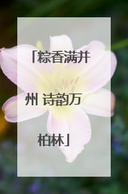 粽香满并州 诗韵万柏林