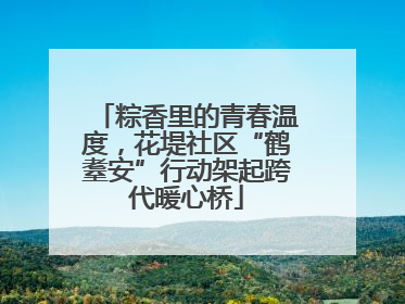 粽香里的青春温度，花堤社区“鹤耋安”行动架起跨代暖心桥