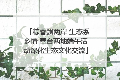 粽香飘两岸 生态系乡情 奉台两地端午活动深化生态文化交流