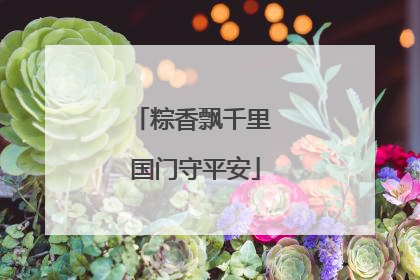 粽香飘千里 国门守平安