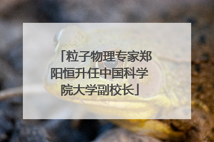 粒子物理专家郑阳恒升任中国科学院大学副校长